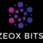 zeox bits